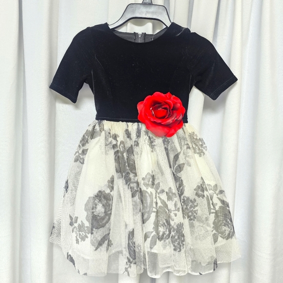 ZUNIE 3D Rose Velvet lil Girls Dress - Picture 1 of 3